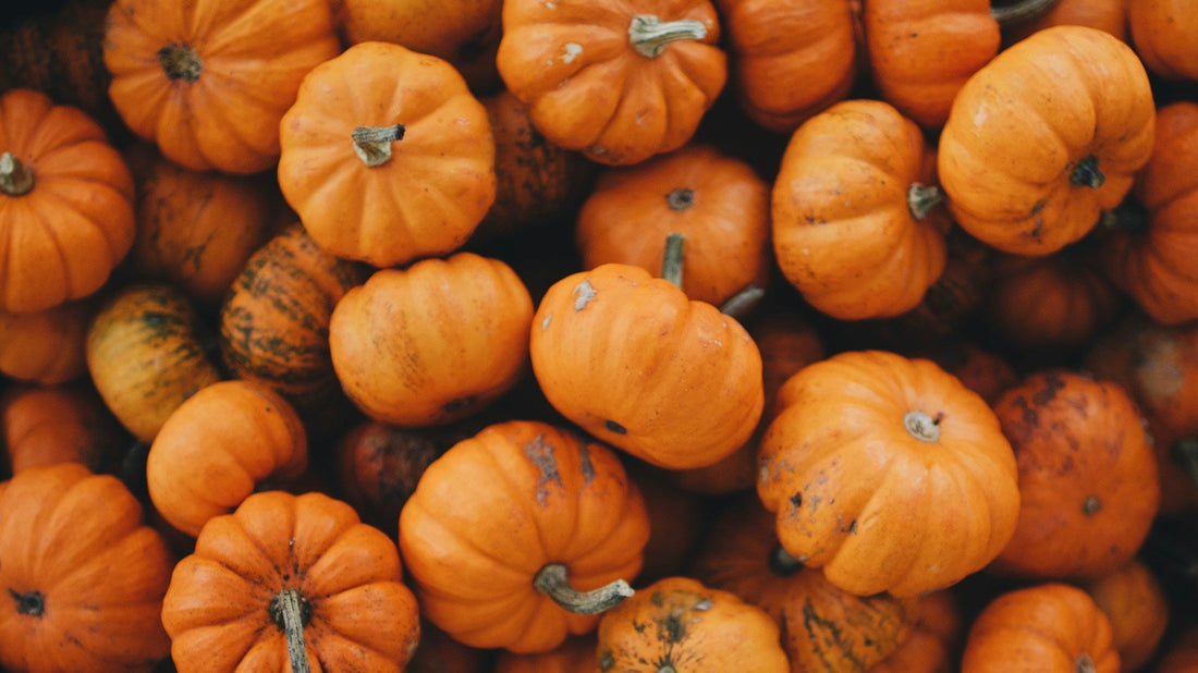 How to Remove Pumpkin Stains on Multiple Surfaces